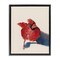 Stupell Industries Standing Cardinal Bird Floating Frame, design by Cady Driver